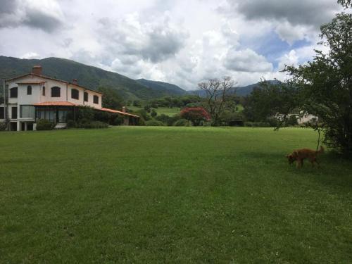 Villa San Lorenzo House | Arnaga
