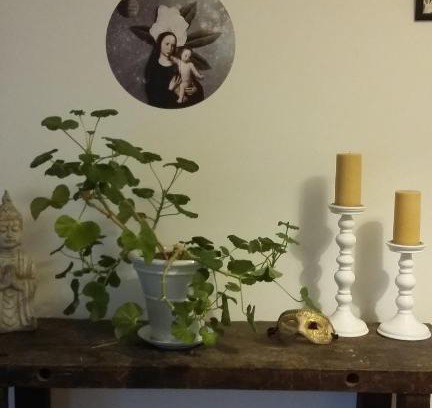 Glastonbury Bed & Breakfast | AROHA