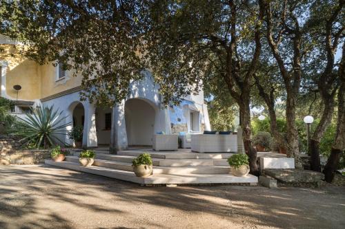 Dorgali Apartment | Art House