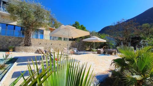 Vatos Villa | Art Villa Olga
