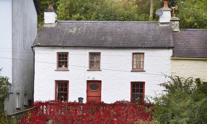 New Quay House | Arwel