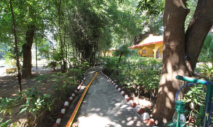 Tala Resort | Ashoka Jungle Resort