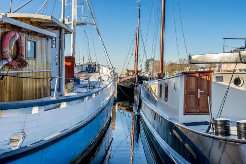 Amsterdam North Boat Rental | Asile Flottant