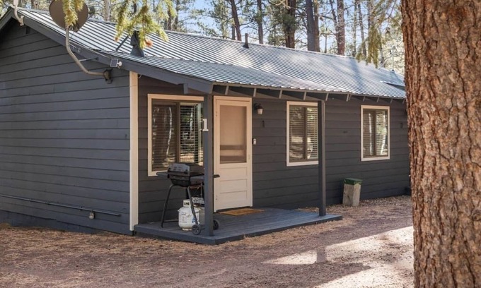 Greer Cabin | Aspen Cabin 1 Summary