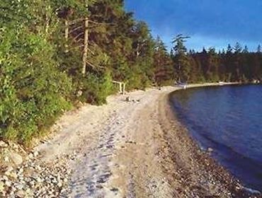 Sullivan Cabin | Aspen Cabin - Waterfront log cabin