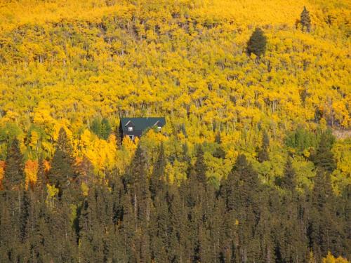 Alma House | Aspen Ridge-Mountain Adventure House