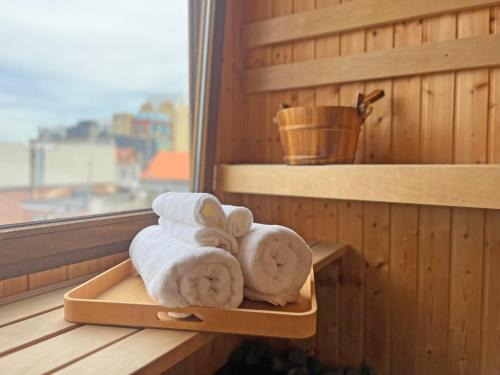Statiekwartier Apartment | Astrid Sauna Appartement Antwerp