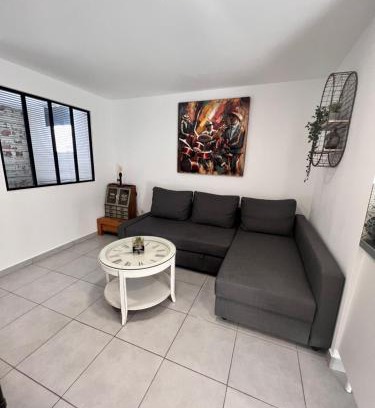 Vitry-sur-Seine Apartment | Atelier artiste à 10 de Paris avec terrasse