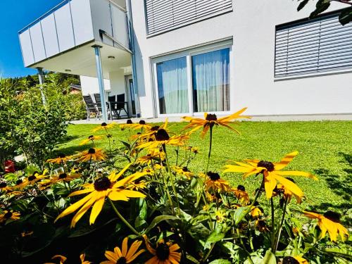 Albstadt Apartment | Atemberaubender Ausblick mit Premium-Wanderwegen vor der Haustür