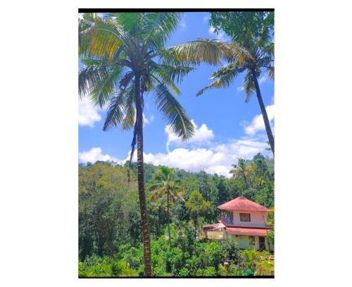 Chithirapuram House | Athens Cottage