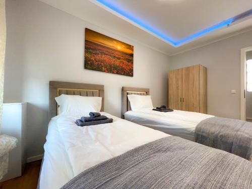 Magdeburg Apartment | Atlas-Apartment