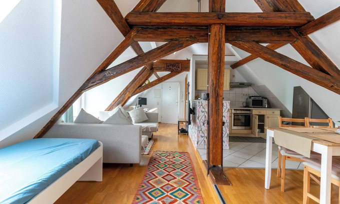 Biebrich Apartment | Attic Apartment at Schlosspark