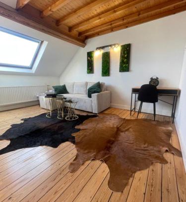Plasky Apartment | Attic European Quarter