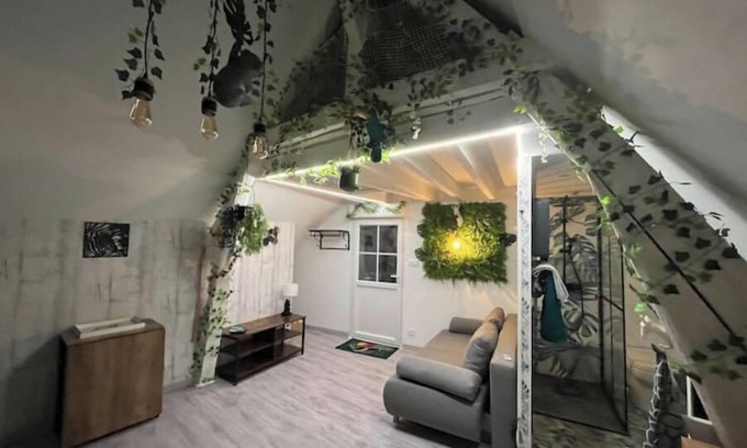 Saint-Aignan Apartment | Atypical attic studio with exterior