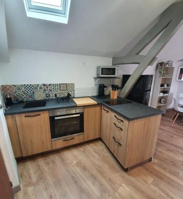 Chinon Apartment | AU COEUR De LA CITE MÉDIÉVALE