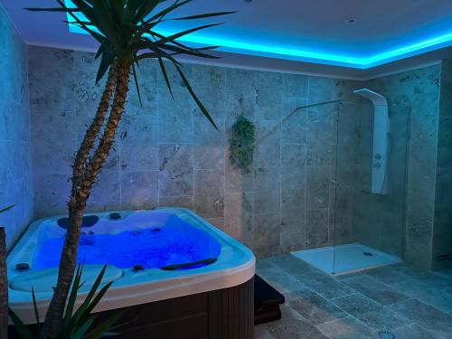 Obersteinbach Bed & Breakfast | Au Wachtfels