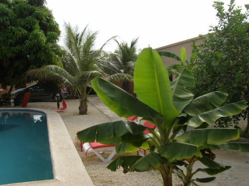 Ouoran House | Auberge Keur Ely