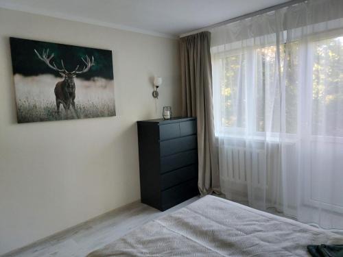 Agenskalns Apartment | Auerbachs Apartment