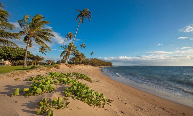 Kihei Condo | AUG/SEPT 227nt 2b/2ba Maui Oceanfront Complex, AC, Remodeled & Walk to Beach