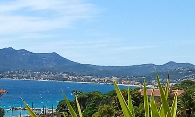 Cannes Old Town Condo | AUGUST SPECIAL! Beautiful apartment in Suquet, sea view, swimming pool
