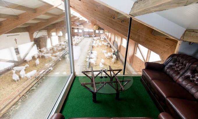 Schlierbach Apartment | Auszeit am Ziegenhof nur für Erwachsene