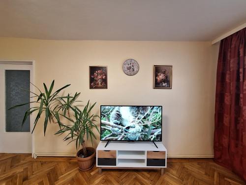 Center Apartment | Autentic