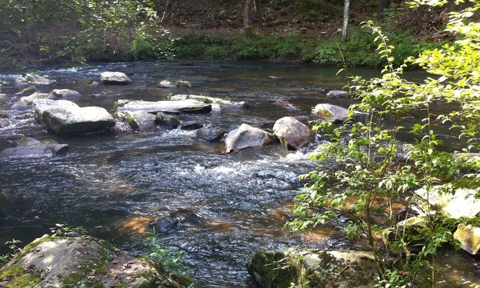Ellijay Cabin | Authentic Log Cabin - Family, Fishing, Fun - Private Waterfront