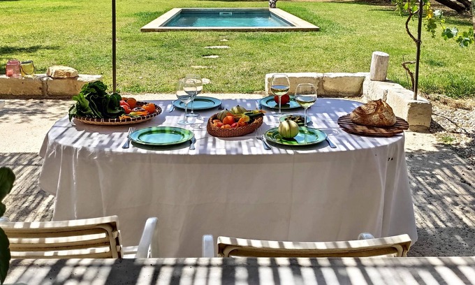 Barbentane House | Authentic mazet with swimming pool set in 2 hectares of olive groves