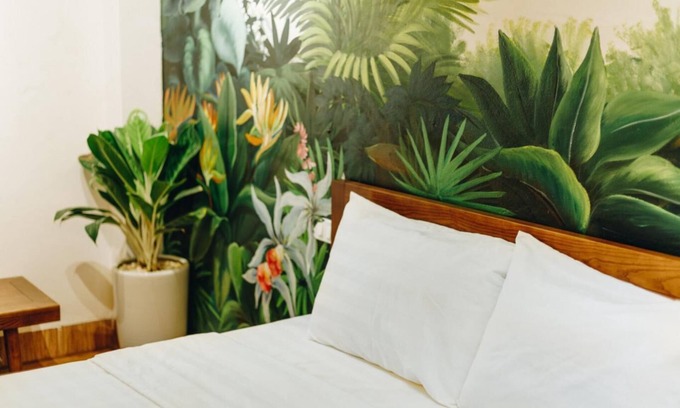 Truc Bach House | Autumn Homestay 1B/Ba Dinh Hanoi