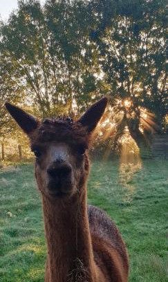 Honfleur Bed & Breakfast | Aux murmures de la nature B&B