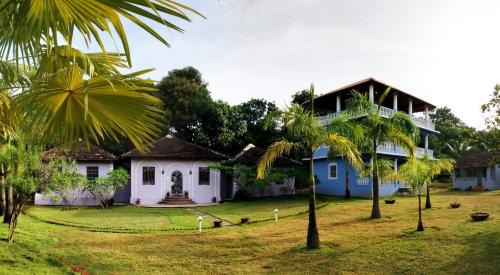 Mandrem Bed & Breakfast | Avalon Inn