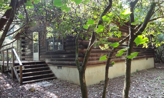 Ellijay Cabin | Away from the Crowds Great Value Right on the River!