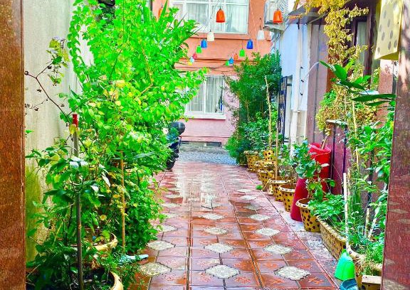 Sultanahmet Apartment | Ayasofya Garden apart