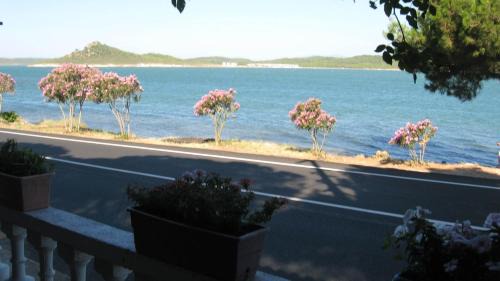 Ayvalik City Center House | Ayvalik Dostlar Pansiyon