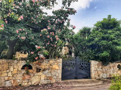 Schifoni Bed & Breakfast | B&B Chorisia