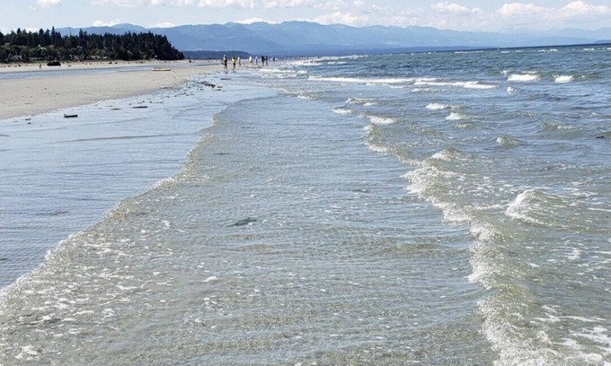 Regional District of Nanaimo House | B&B Columbia Beach, 2min WALK to ocean, queen bed, 45' parking, pets welcome