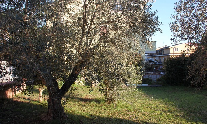 Valmontone Bed & Breakfast | B&B Il Melograno