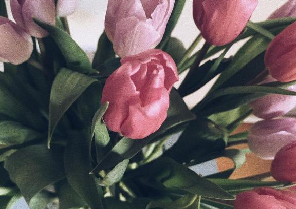 Oudergem Bed & Breakfast | B&B Le 36