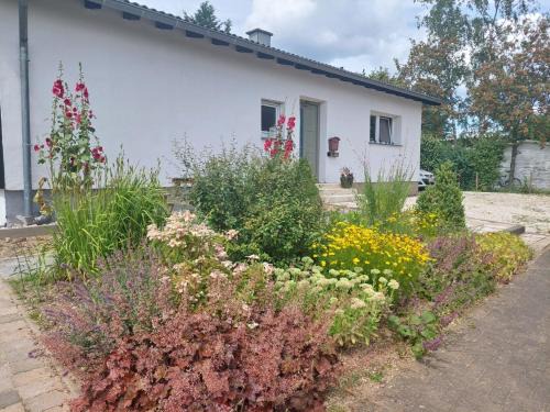 Pantenburg Bed & Breakfast | B&B Manderscheid-Blick