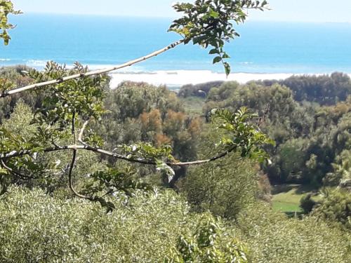 Santo Domingo Bed & Breakfast | B&B Santo Domingo Chile ENGLISH SPOKEN Gran Departamento compartido frente al mar PARQUE TRICAO bird sanctuary 14kms 9miles away DESAYUNO ESTACIONAMIENTO Y WIFI GRATIS Free parking wifi and breakfast