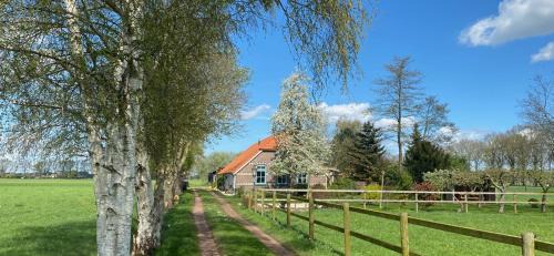 Vinkenbuurt House | B&B Vinkeling