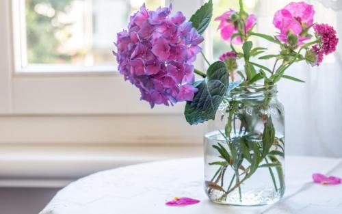 Riva del Garda Bed & Breakfast | B&B Zenzero e Limone