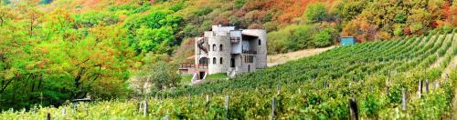 Babaneuri Hotel | Babaneuris Marani