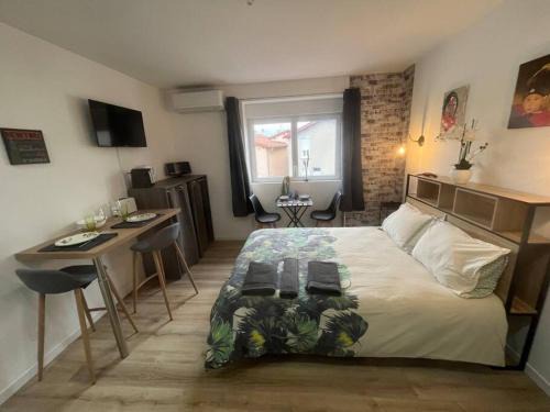Chasse-sur-Rhone Apartment | BACH studio BALNEO au calme parking gratuit