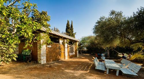Misgav Other | Back to Nature Camping & Huts