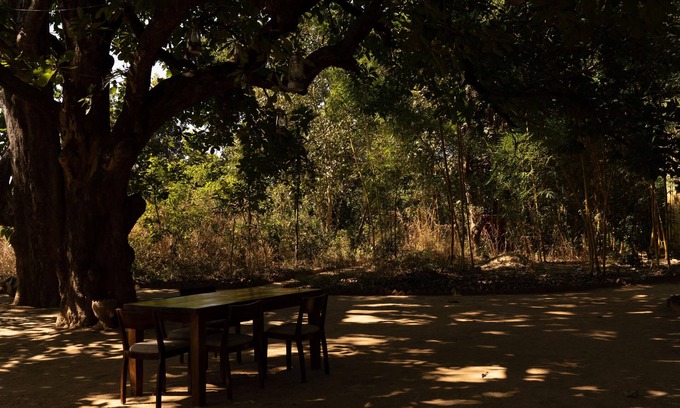 Umaria Hotel | Bagh Tola, Bandhavgarh