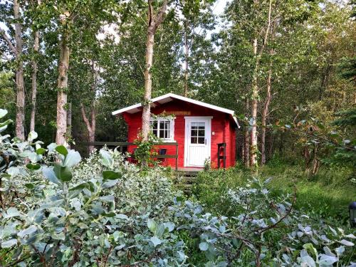 Hauganes Apartment | Bakkakot 3 Cozy Cabin In The Woods