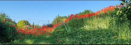 Saint-Aubin-de-Branne Bed & Breakfast | Balcon des Vignes