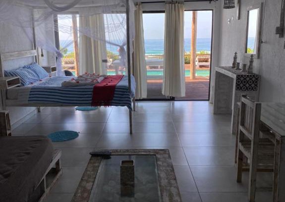 Zitundo House | Baleia Azul 14