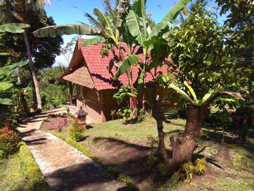 Selemadeg Cabin | Bali mountain forest cabin
